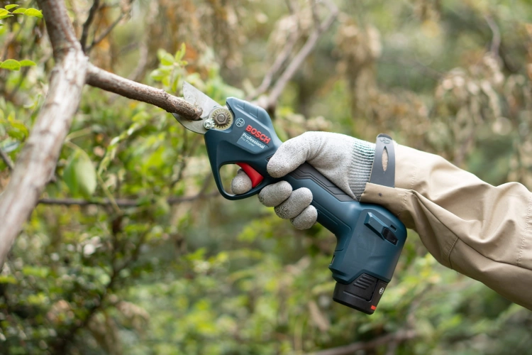 o352010v186 pro_pruner_kol_application_08.jpg