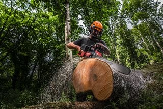 Pilarka łańcuchowa akumulatorowa MILWAUKEE M18F2CHS50-0 2x18V 50cm