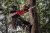 Piła łańcuchowa akumulatorowa MILWAUKEE M18FCHS-0-FUEL 40cm