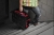 Radio z ładowarką MILWAUKEE M18PRCDAB-0 EU