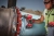 Akumulatorowy klucz udarowy 1/2" MILWAUKEE M18 FHIW2F12-0X