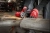 Przecinarka do wielu materiałów 12V MILWAUKEE M12 FCOT-0