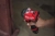 Klucz udarowy 1/2" 12V MILWAUKEE M12 FCIWP12G3-0