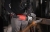 Szlifierka kątowa MILWAUKEE AGV22-230E 230mm