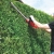 Einhell GH-EH 4245