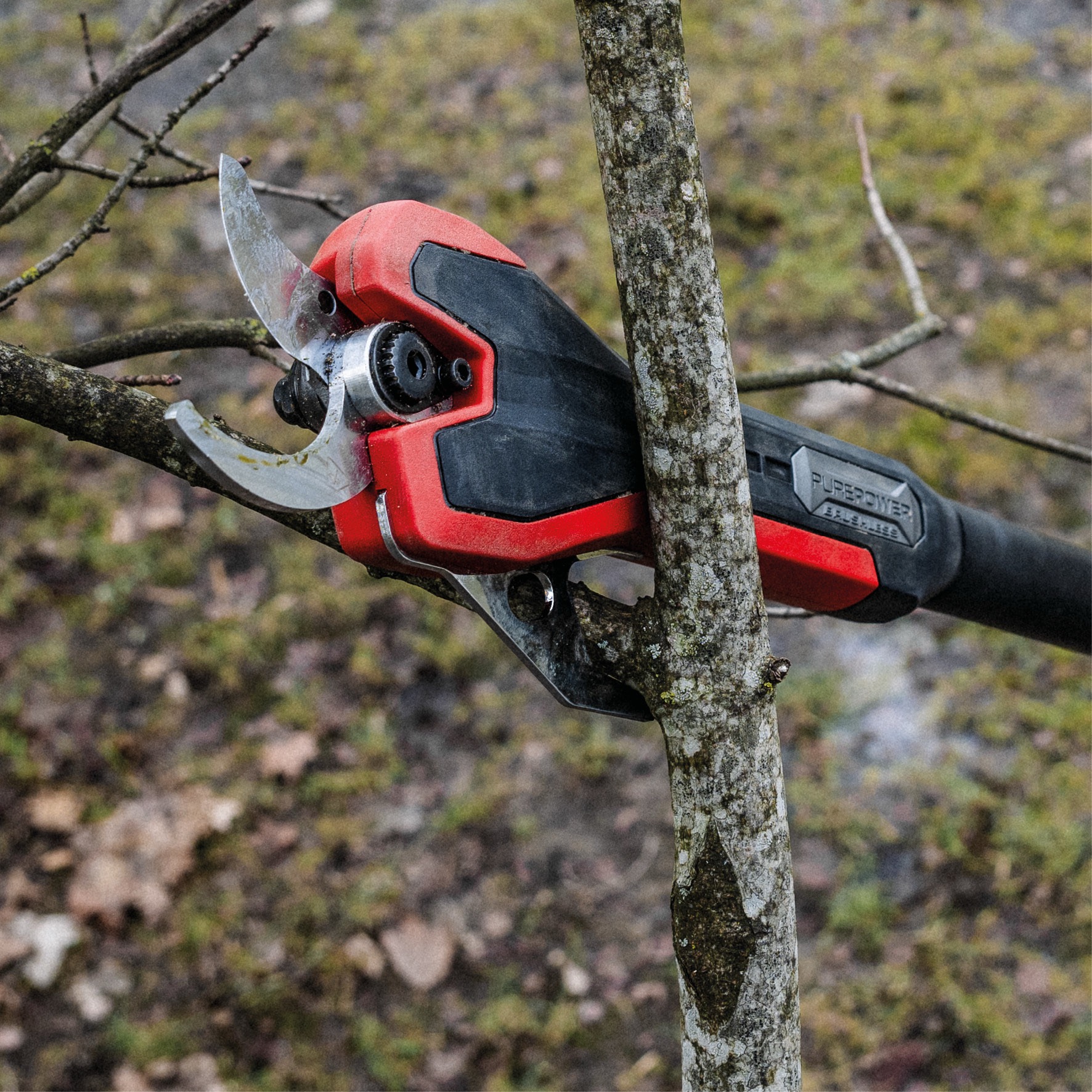 Akumulatorowe nożyce do gałęzi EINHELL GP-LS 18/35 Li BL solo